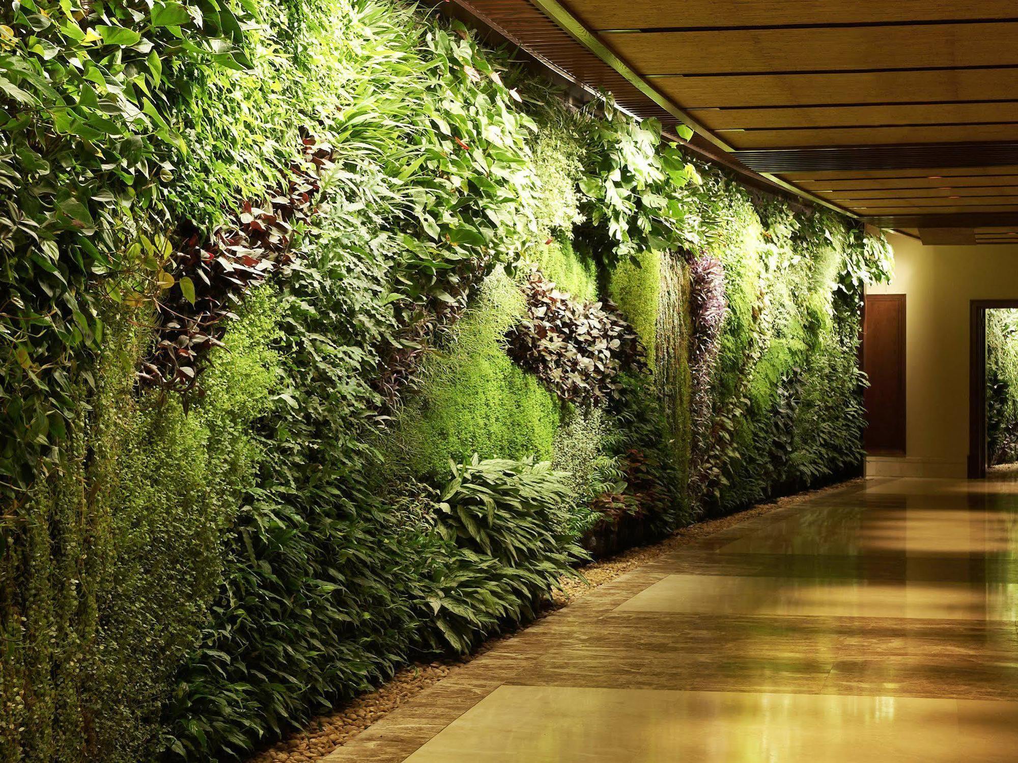 Sofitel Dubai Palm Apartments Exterior photo A living wall at the Wynn Las Vegas